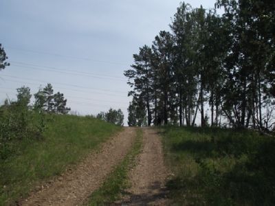 Бужуханэ басаган