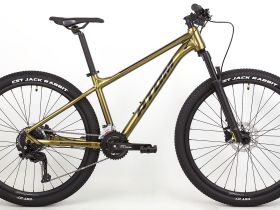 Горный велосипед Atom Bion Seven 50, год 2024, цвет Желтый, ростовка 15
