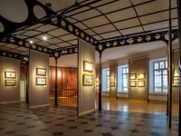 Музей художественного освоения Арктики им. А. А. Борисова