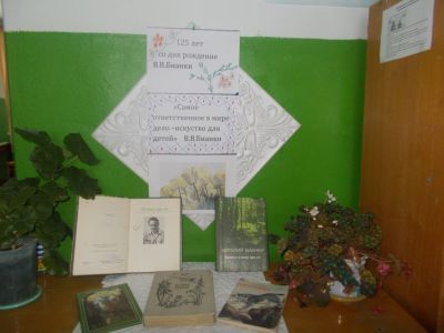 Писаревская сельская библиотека