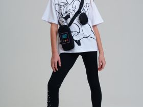 Сумка с чехлом для наушников