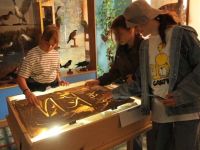 Заринский краеведческий музей