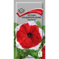 Петуния грандифлора Дримс Ред Пикоти