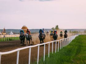 Победу на конных скачках на призы главы Якутии одержал скакун Атомик Бой