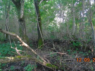 Усадьба. Парк