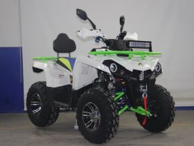 Квадроцикл AVANTIS Forester 200