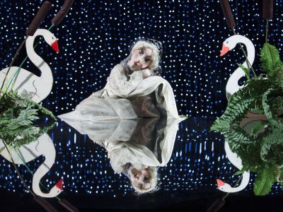 Билеты на Царевна-лягушка (Детский сказочный театр) / Театр | Афиша | ИнфоТаймс