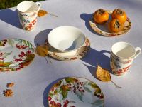 Тарелка Шиповник/Rose hip I