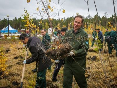 В Якутии планируют высадить саженцы на площади 85 тысяч гектаров