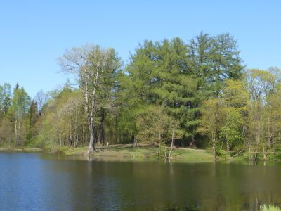 Усадьба Лопухиной Е.И. (Левашовых, Вяземских) "Осиновая Роща"