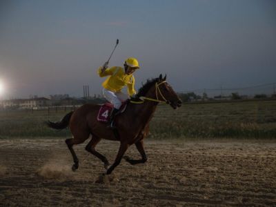 Якутский кинопродюсер спас скакуна от убоя и сделал его главной звездой фильма