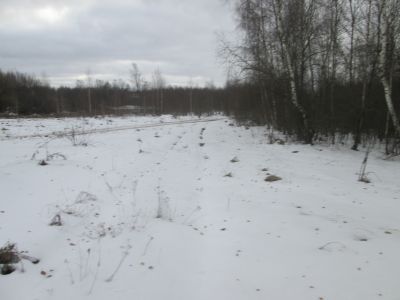 Родина известного невропатолога, члена АМН СССР Н.И. Гращенкова