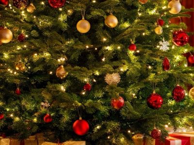 Билеты на Новый год под музыку Вивальди при свечах (Шведская церковь Святой Екатерины) / Концерт | Афиша | ИнфоТаймс