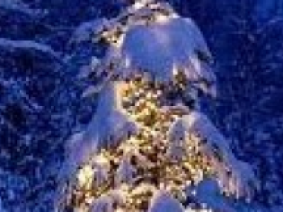 Как Дед Мороз на свет появился