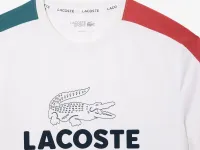 Мужская футболка Lacoste Regular Fit