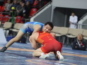 Определены финалисты международного соревнования памяти Романа Дмитриева в Якутске