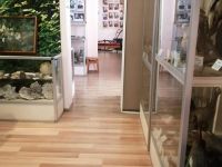 Историко-краеведческий музей с. Михайловка