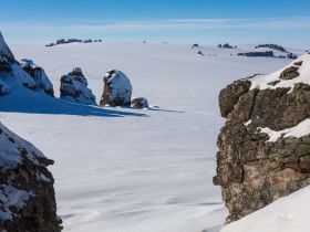 Арктическая снегоходная экспедиция «К Каменным Людям Сундуруна через кряж Суор Уйата»