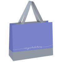 Пакет подарочный MESHU "Duotone. Gray-lavender" 23*18*10 см