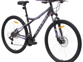 Горный велосипед Stark Slash 29.1 D, год 2024, цвет Черный-Фиолетовый, ростовка 22