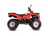 Квадроцикл SHARMAX Luxe 300  (2024)