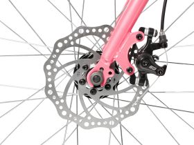 Детский велосипед Novatrack Alice 20 Disc, год 2026, цвет Розовый