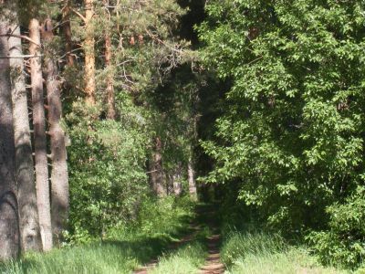 Усадьба Храповицких