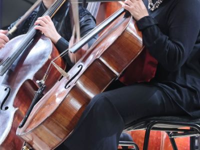 Блестящие и популярные!