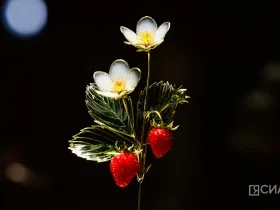 В Якутске открылась выставка Маргариты Зиминой «Цветы России»