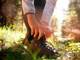 Ботинки PAMIR WP