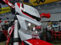 Питбайк IRBIS TTR 125R Pro Sport