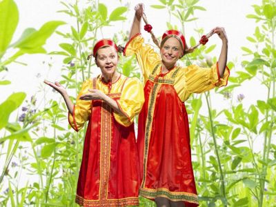 Билеты на Муха-Цокотуха (Театр на Юго-Западе) / Театр | Афиша | ИнфоТаймс