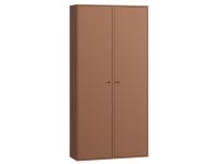 Распашной шкаф Сайрис 2-98x202 Терракотовый