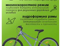 Подростковый велосипед Wind Reflex 24, год 2025, цвет Серый