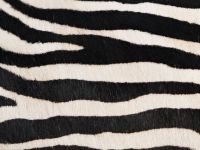 Сумка из натуральной кожи с ворсом, Мультицвет