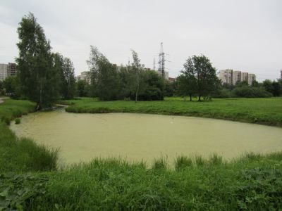Сад с прудом