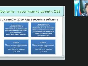 Вебинар "Деятельность дошкольной организации по реализации адаптированной основной образовательной программы"