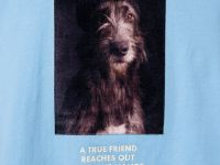 Фуфайка трикотажная для девочек (футболка)