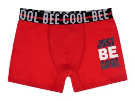 Трусы - боксеры, 3 шт. в комплекте для мальчика