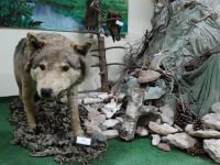 Краеведческий музей им. супругов Жерноклевых