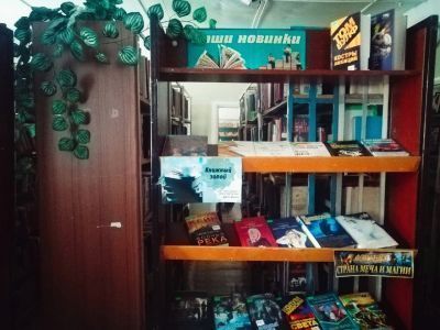 Новомихайловская сельская библиотека