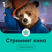 Цифровой продукт viju