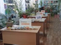 Кочетовская сельская библиотека