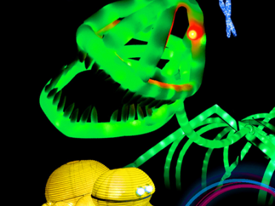 Представление световых кукол. Театр Николая Зыкова г. Москва (Армавир)