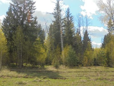 Священная роща