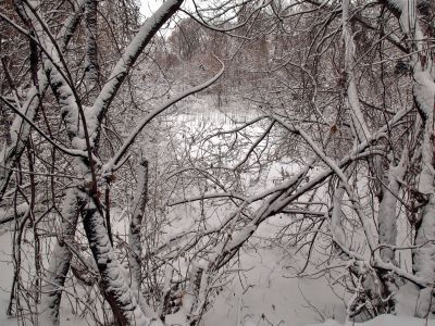 Парк с прудом