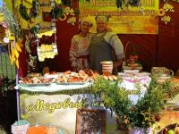 Романенкинский дом досуга