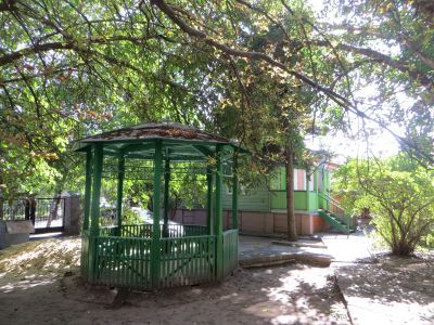 Земельный участок с древесными насаждениями