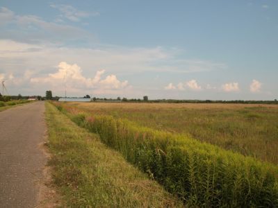Родина активного борца за установление Советской власти в Кошевичской волости Поречского уезда Е.М. Кадрова