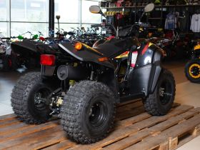 Квадроцикл СТЕЛС ATV 110A Hugo